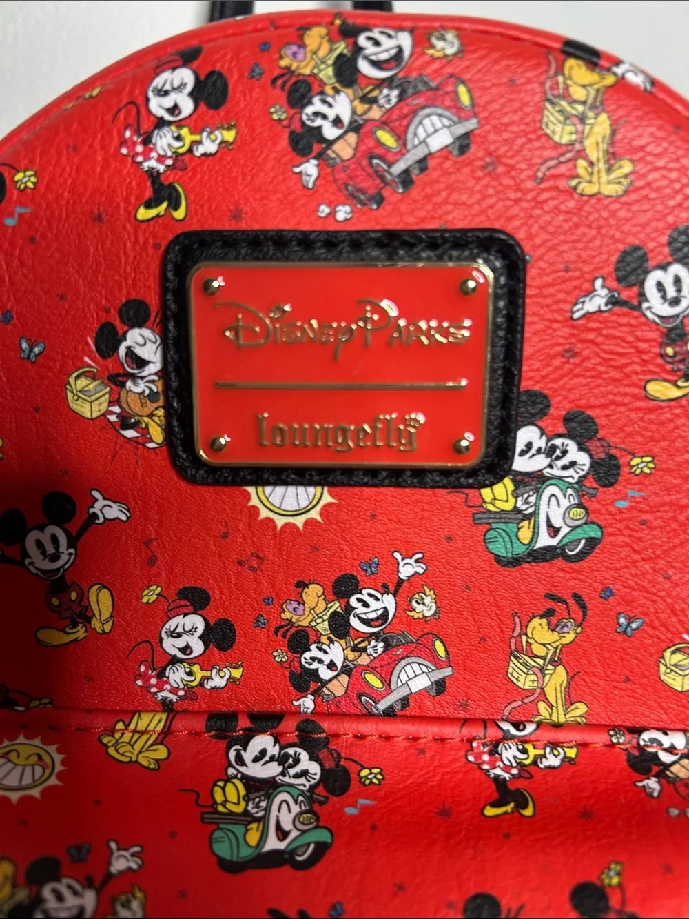 Disney lounge fly